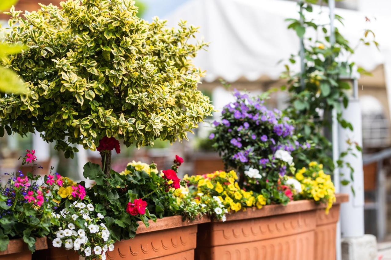 Apparthaus & Chalets Hofer Zell am Ziller Ngoại thất bức ảnh